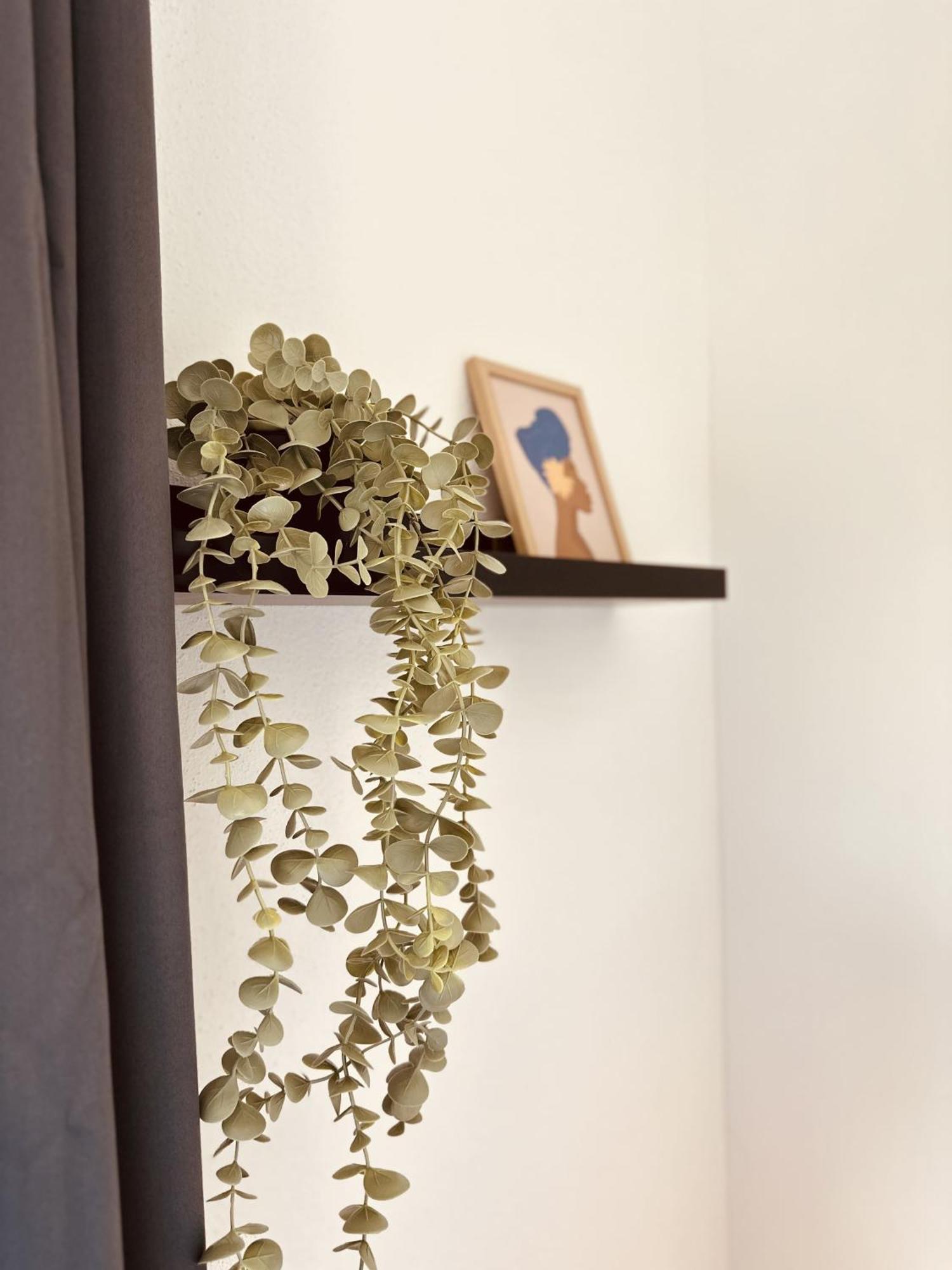 Apartment Mit Netflix - Parken - Kueche - Bad فايدن المظهر الخارجي الصورة